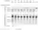 Fig. 304 - Crispr enzymes and systems