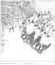 Fig. 340 - Crispr enzymes and systems