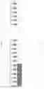 Fig. 16 - HIGH COVERAGE STLFR