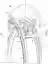 Fig. 03 - SUPPORT AND CONTROL DEVICE FOR CIRCULAR KNITTING MACHINES