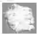 Fig. 11 - PRODUCTION METHOD FOR NANOFIBER AGGREGATES, PRODUCTION APPARATUS FOR NANOFIBER AGGREGATES, AND NANOFIBER AGGREGATES