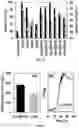 Fig. 03 - USE OF A PLURALITY OF SALT IONIC LIQUIDS IN THE PRETREATMENT OF BIOMASS