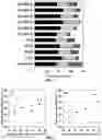 Fig. 05 - USE OF A PLURALITY OF SALT IONIC LIQUIDS IN THE PRETREATMENT OF BIOMASS