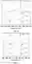 Fig. 09 - USE OF A PLURALITY OF SALT IONIC LIQUIDS IN THE PRETREATMENT OF BIOMASS