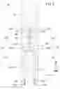 Fig. 04 - CLT structure