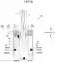 Fig. 03 - SHOVEL