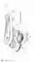 Fig. 02 - Gearing device of a passageway device