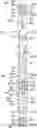 Fig. 01 - Dual pump reverse flow through phase behavior measurements with a formation tester