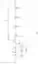 Fig. 04 - GAS HANDLING SYSTEM AND METHOD FOR EFFICIENTLY MANAGING CHANGES IN GASEOUS CONDITIONS