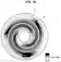 Fig. 19 - ELASTIC BODY AND LINEAR COMPRESSOR INCLUDING THE SAME