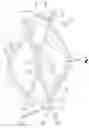 Fig. 02 - Superimposed opposing wave spring
