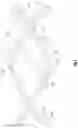 Fig. 03 - Superimposed opposing wave spring