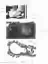 Fig. 06 - Actuator for solar panels