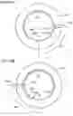 Fig. 15 - PISTON RING UNIT AND COMPRESSOR