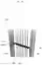 Fig. 31 - WIRE SPACING AND BRACING MANAGEMENT SYSTEM