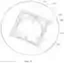 Fig. 09 - Lighting apparatus