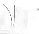 Fig. 01 - Lamp installed through screwing, and lamp body