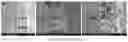 Fig. 03 - High Temperature Carbon Monoxide Sensor for In-situ Combustion Monitoring