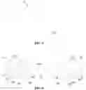 Fig. 05 - Flat tube and heat exchanger provided with same