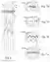 Fig. 04 - Camouflage material