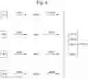 Fig. 03 - Baseline signal calculation