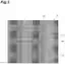 Fig. 04 - Inspection apparatus and inspection method