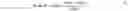 Fig. 02 - STANDARDIZATION OF MERFISH IMAGING SYSTEMS