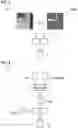 Fig. 04 - Method and apparatus for detecting a presence of a fluorescence pattern type on an organ section by means of immunofluorescence microscopy
