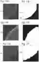 Fig. 11 - Method and apparatus for detecting a presence of a fluorescence pattern type on an organ section by means of immunofluorescence microscopy