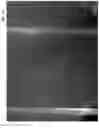 Fig. 27 - ENGINEERED OPIOID BIOSENSORS