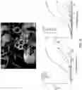 Fig. 40 - ENGINEERED OPIOID BIOSENSORS