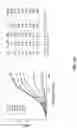 Fig. 44 - ENGINEERED OPIOID BIOSENSORS