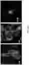 Fig. 45 - ENGINEERED OPIOID BIOSENSORS