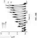 Fig. 46 - ENGINEERED OPIOID BIOSENSORS