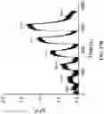 Fig. 49 - ENGINEERED OPIOID BIOSENSORS