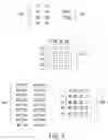 Fig. 06 - System for analyzing targets of a tissue section