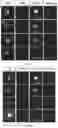 Fig. 05 - POLYPEPTIDE MAGNETIC NANOPARTICLE, PREPARATION METHOD THEREFOR AND USE THEREOF