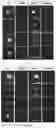 Fig. 07 - POLYPEPTIDE MAGNETIC NANOPARTICLE, PREPARATION METHOD THEREFOR AND USE THEREOF