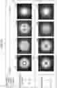 Fig. 14 - OPTICAL LENS AND LIGHTING DEVICE