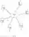 Fig. 05 - Virtual slide stage (VSS) method for viewing whole slide images