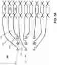 Fig. 09 - System and method for multiplexed optical addressing of atomic memories