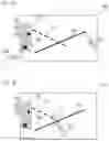 Fig. 08 - Projection apparatus