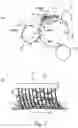 Fig. 08 - Image forming apparatus capable of suppressing an improper charge resulting from toner being moved from a transfer member to a photosensitive member
