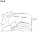 Fig. 07 - Imaging system with control member for conveyance path and developing roller having a peeling pole