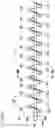 Fig. 09 - Toner conveying device of image forming apparatus including pushing member to push conveyance member from different directions