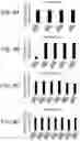 Fig. 07 - Image forming apparatus