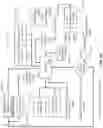 Fig. 117 - Job parsing in robot fleet resource configuration