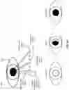 Fig. 09 - Event camera system for pupil detection and eye tracking