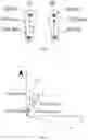 Fig. 03 - Methods and devices for information acquisition, detection, and application of foot gestures