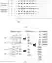 Fig. 04 - Methods and devices for information acquisition, detection, and application of foot gestures